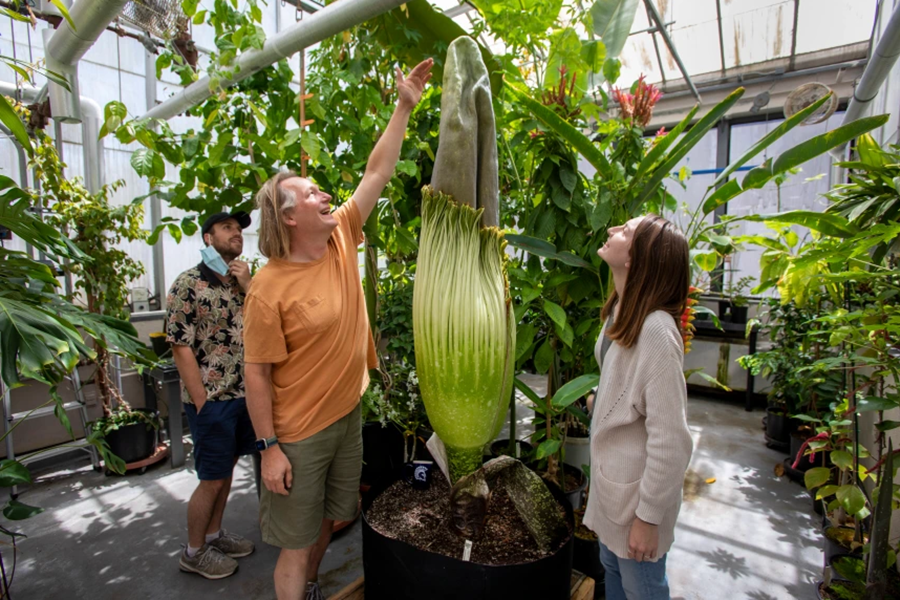 Lars Rosengreen with the Giant Corpse Flower